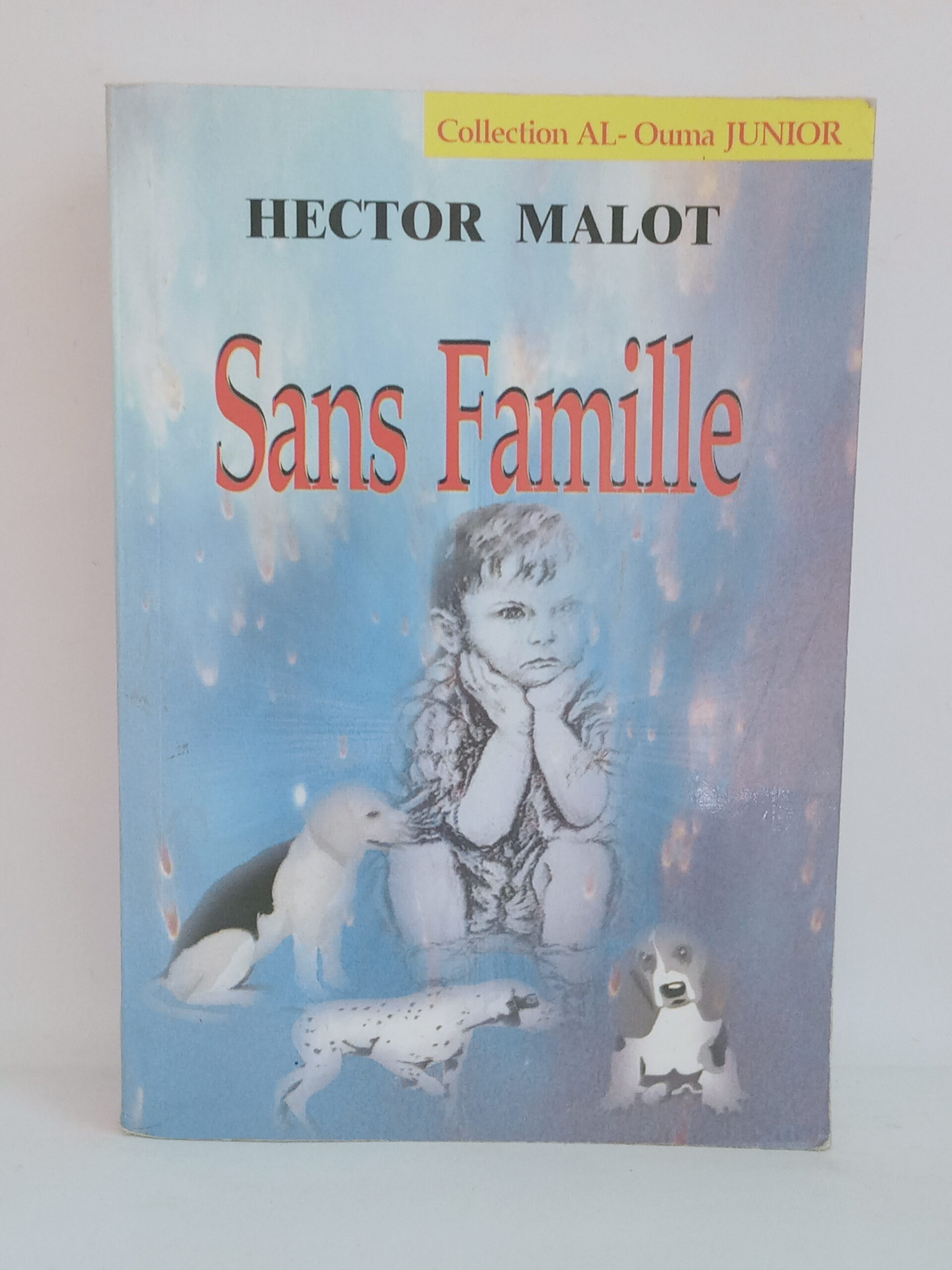 Sans famille  "D'hector Malo"