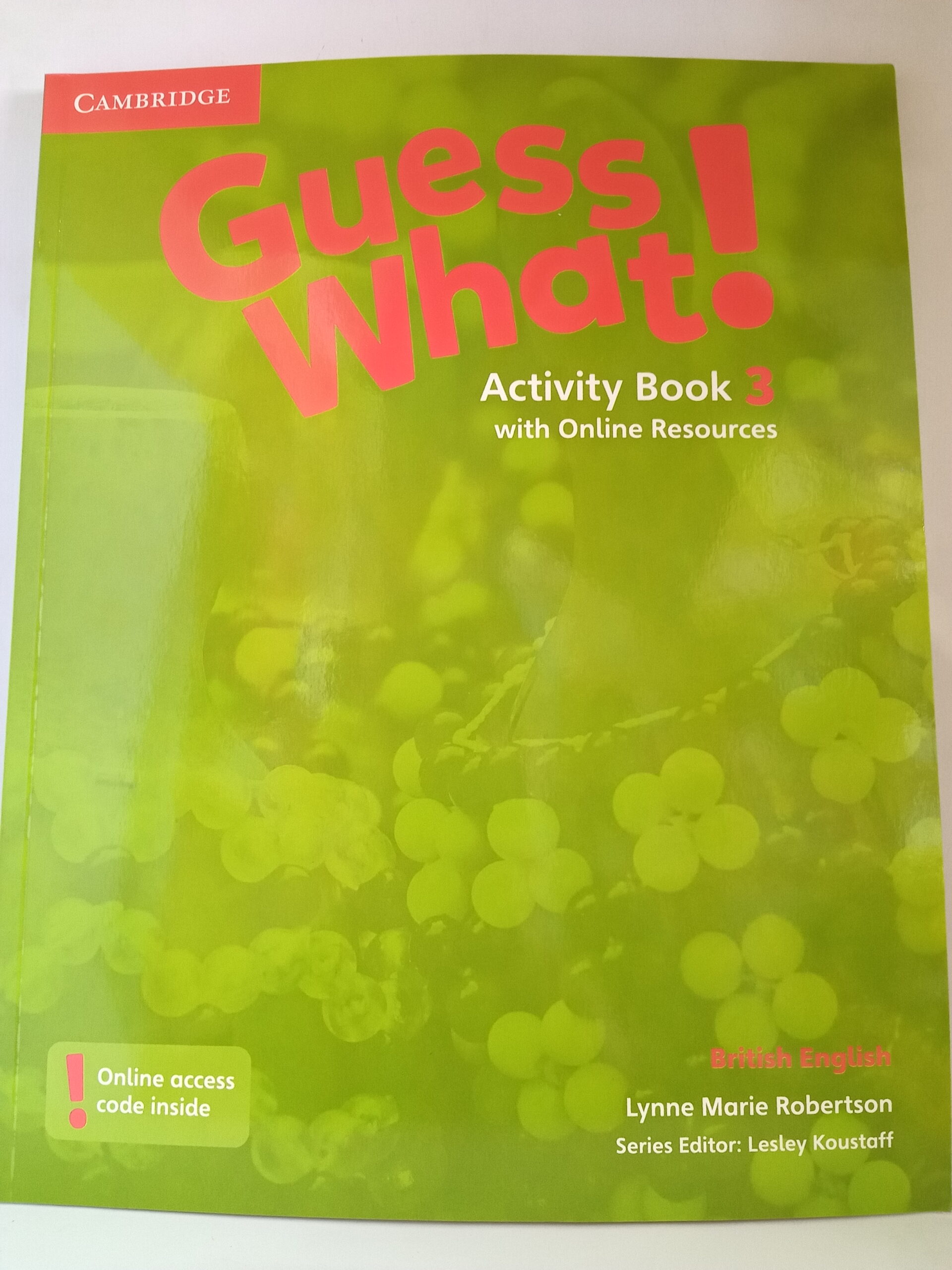 Guess What 3 ! Activity Book