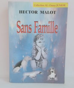 Sans famille  "D'hector Malo"